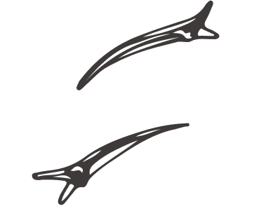 イラスト